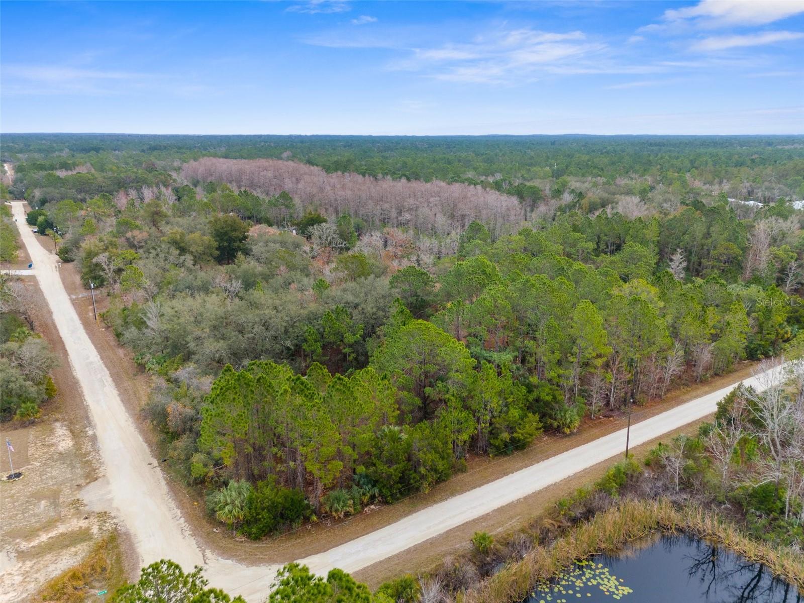 Details for Ramsey Rd & Yellowthroat Ave Road, WEEKI WACHEE, FL 34614