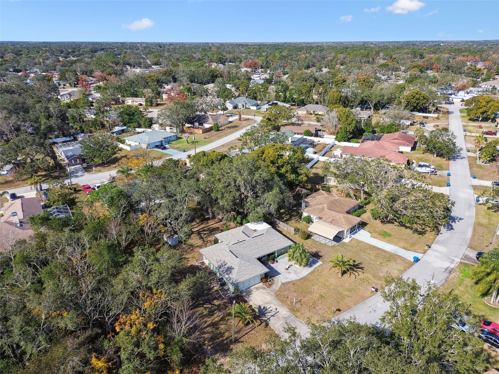 Image 68 of 77 For 8446 Braganza Street