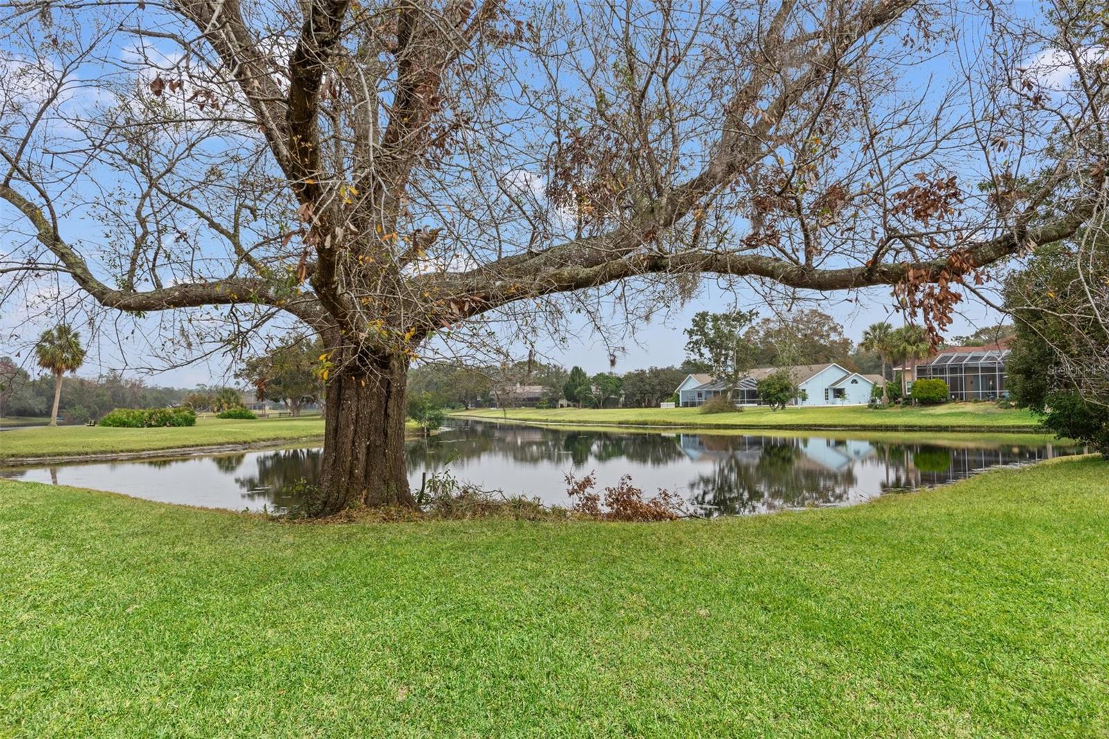 Image 36 of 37 For 4412 Lake In The Woods Drive