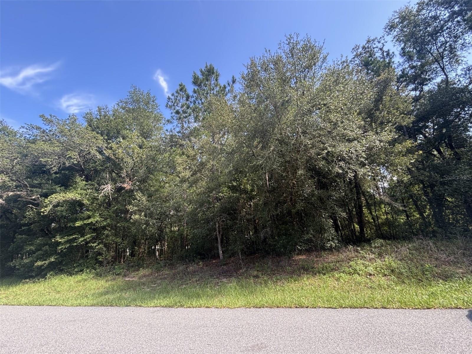 Image 5 of 7 For 1645 Datura Lane