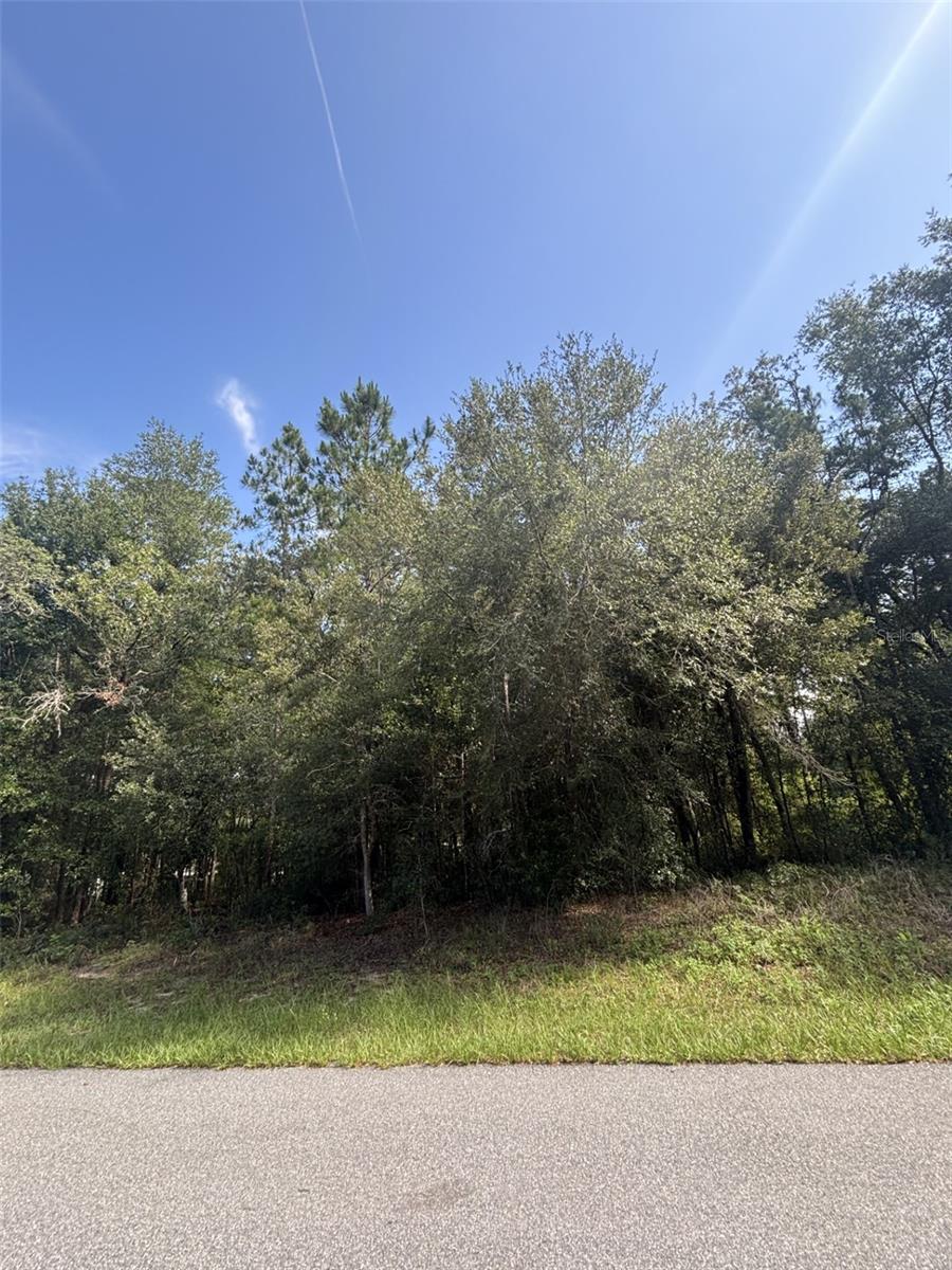 Image 6 of 7 For 1645 Datura Lane