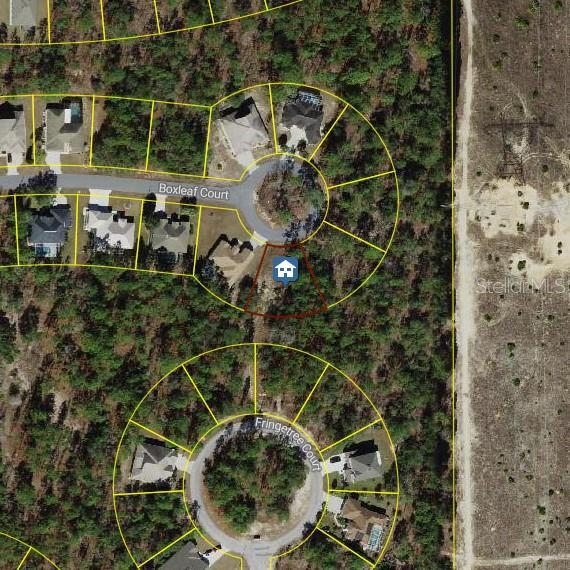 Details for 37 Boxleaf Court, HOMOSASSA, FL 34446
