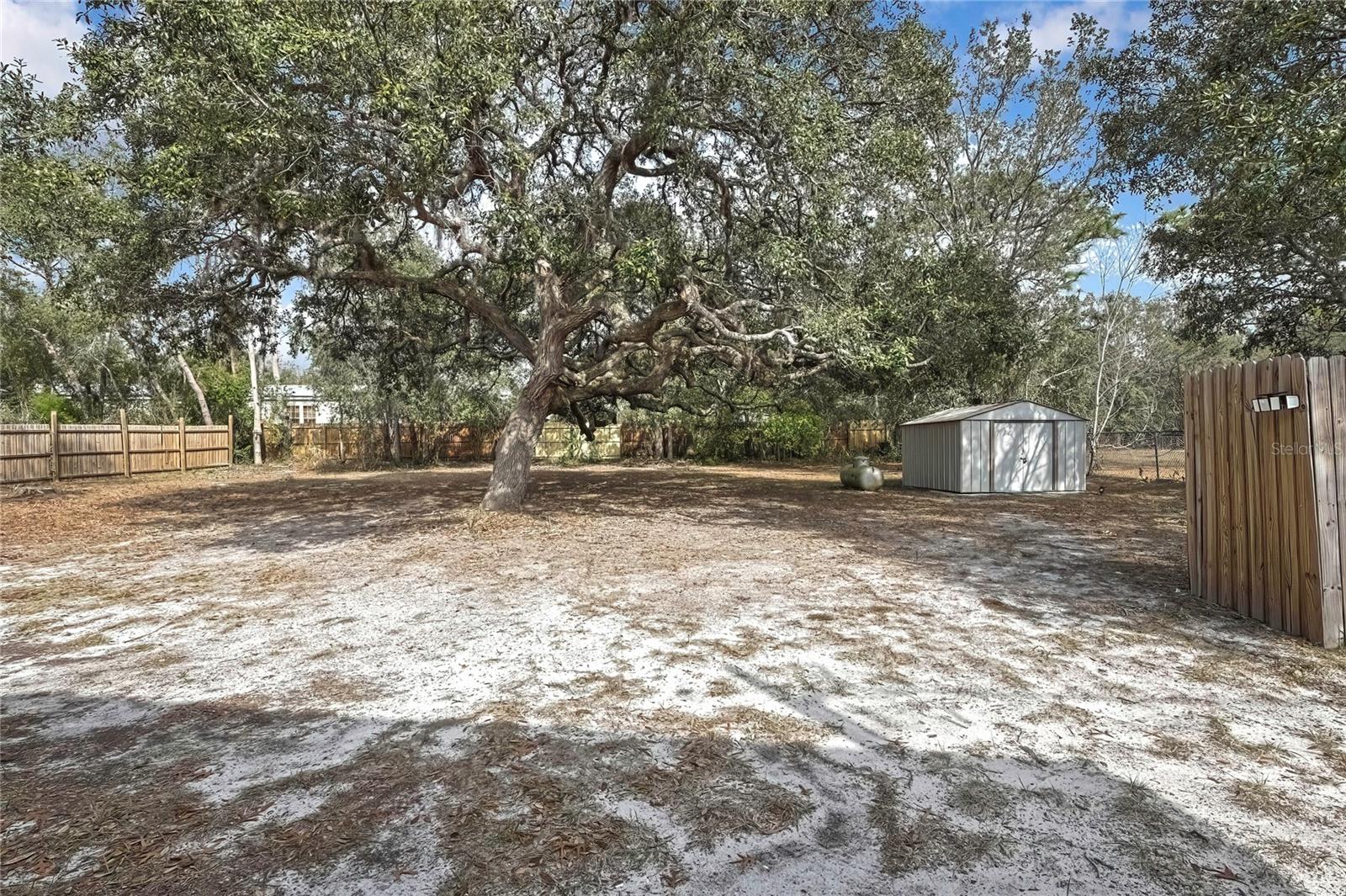 Listing photo id 32 for 5980 Bob White Drive