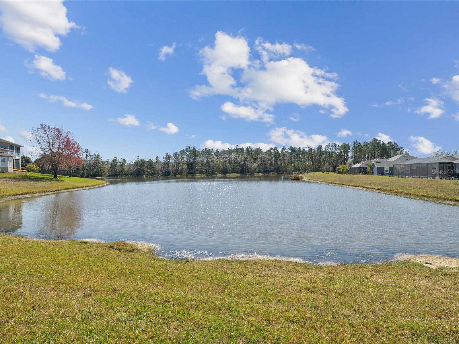 Image 42 of 80 For 19504 Lily Pond Court