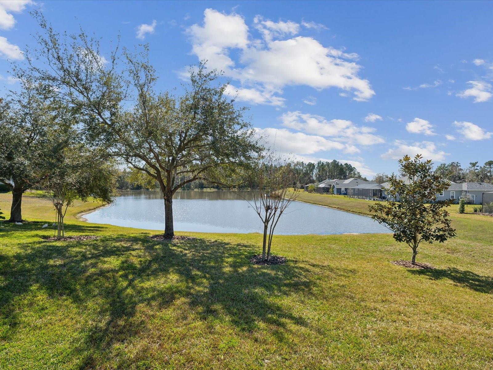 Image 6 of 80 For 19504 Lily Pond Court