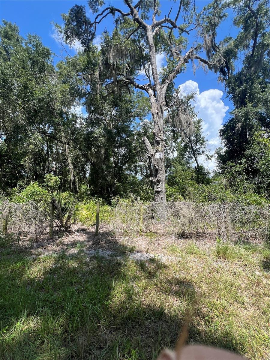 Image 7 of 9 For 9113 Royal Palm Drive