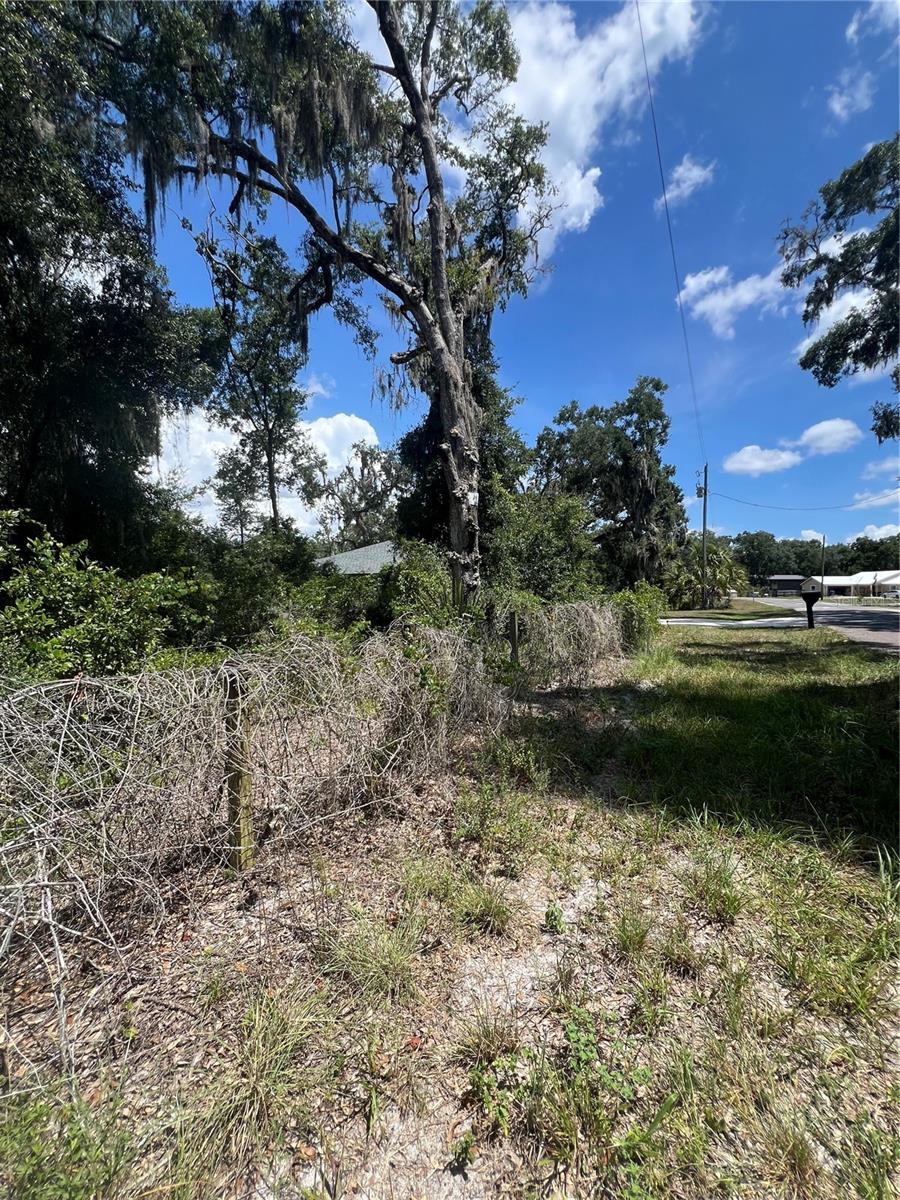 Image 9 of 9 For 9113 Royal Palm Drive