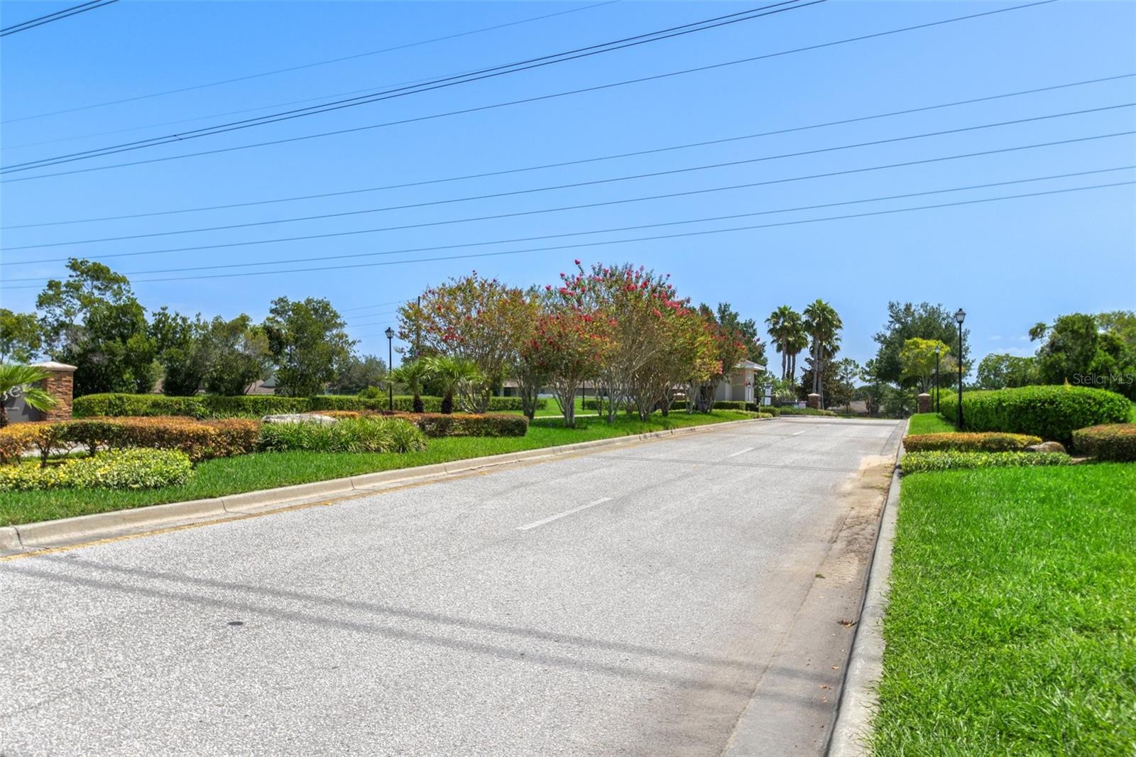 Listing photo id 39 for 8788 Fetterbush Court