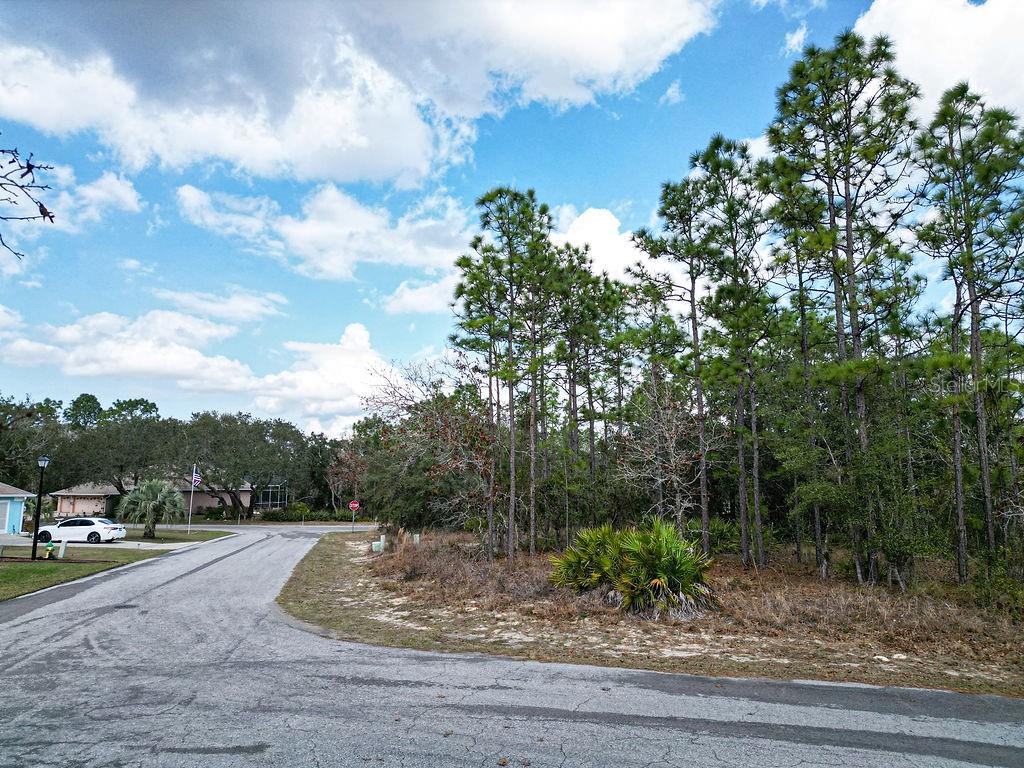 Details for 32 Speceberry Circle, HOMOSASSA, FL 34446