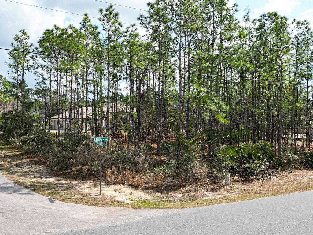 Details for 3 Speceberry Court S, HOMOSASSA, FL 34446