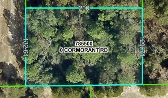 Details for 13408 Cormorant Road, BROOKSVILLE, FL 34614