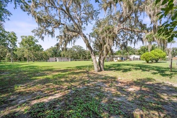 Listing photo id 47 for 12757 Circle Lake Drive