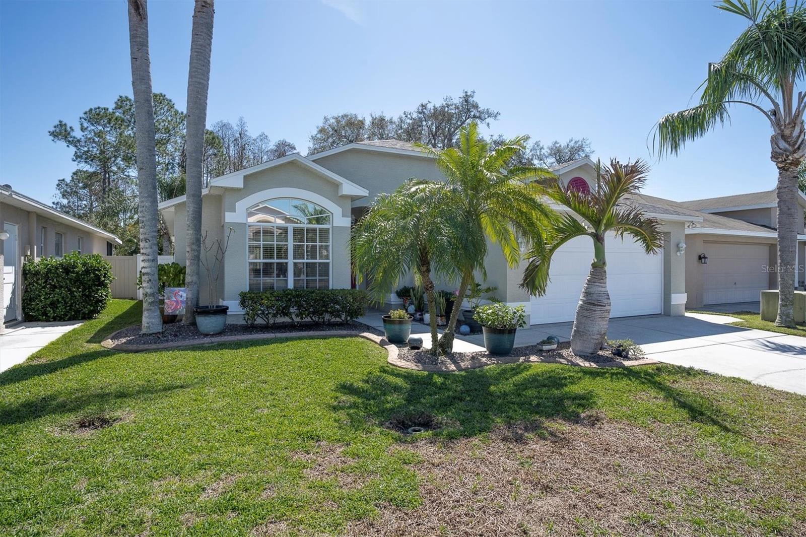 Listing photo id 43 for 11700 Leda Lane