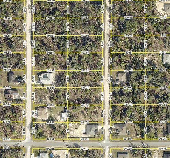 Details for 13 English Parrot, BROOKSVILLE, FL 34614