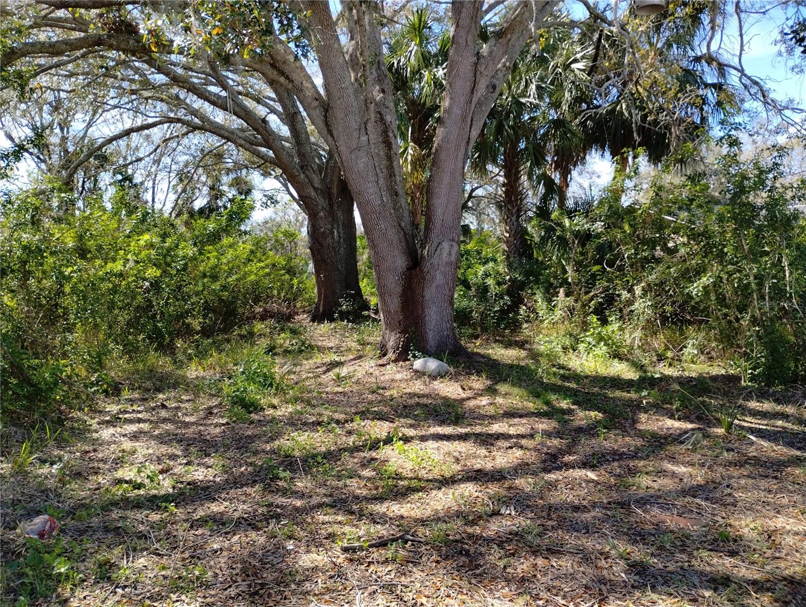 Details for 0 Belah Drive Lot #8, NEW PORT RICHEY, FL 34653