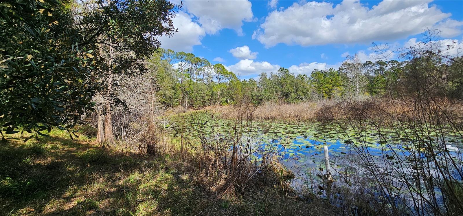 Image 64 of 66 For 17932 Wendy Sue Avenue