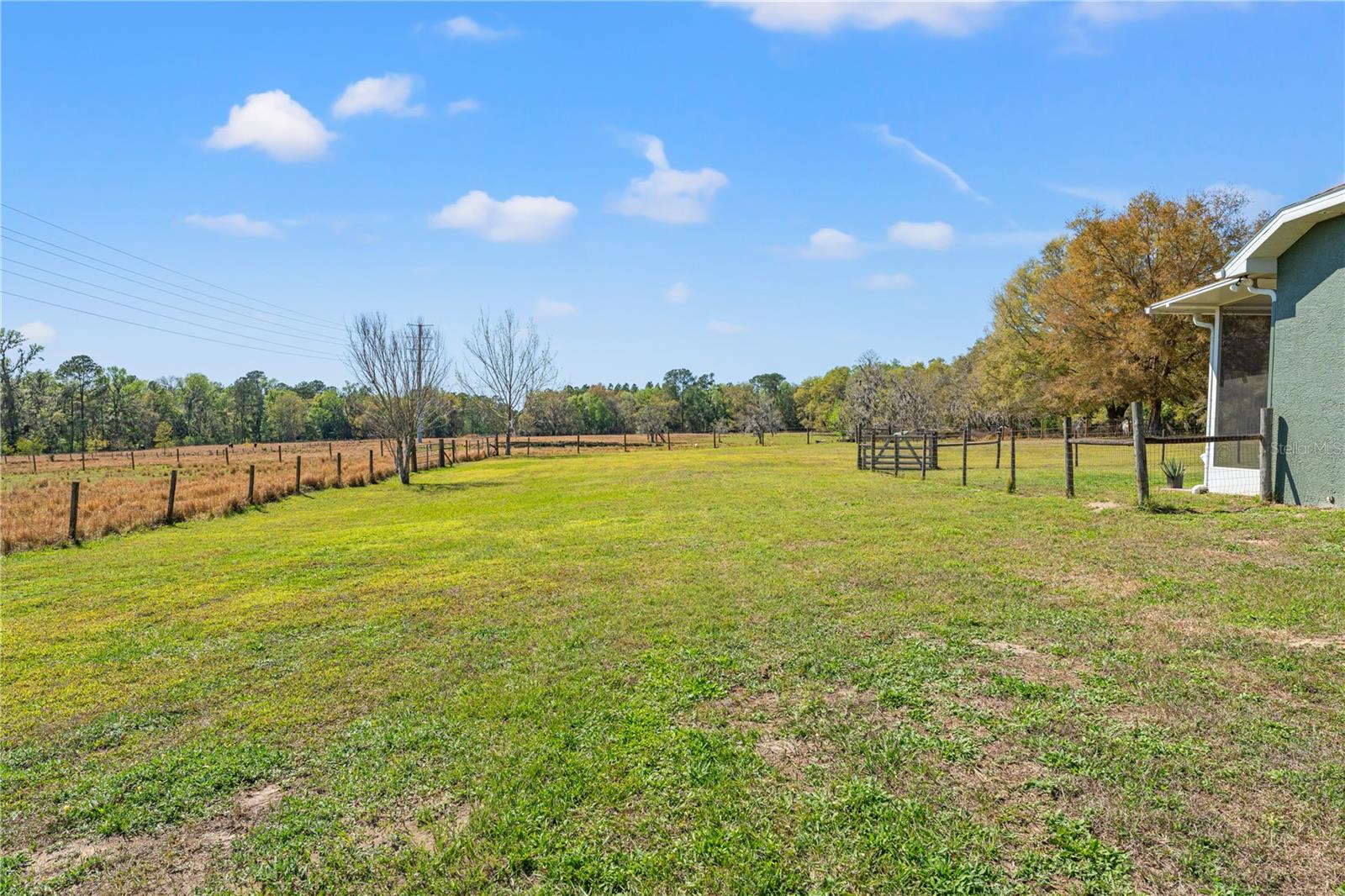 Listing photo id 53 for 6413 Emerson Road