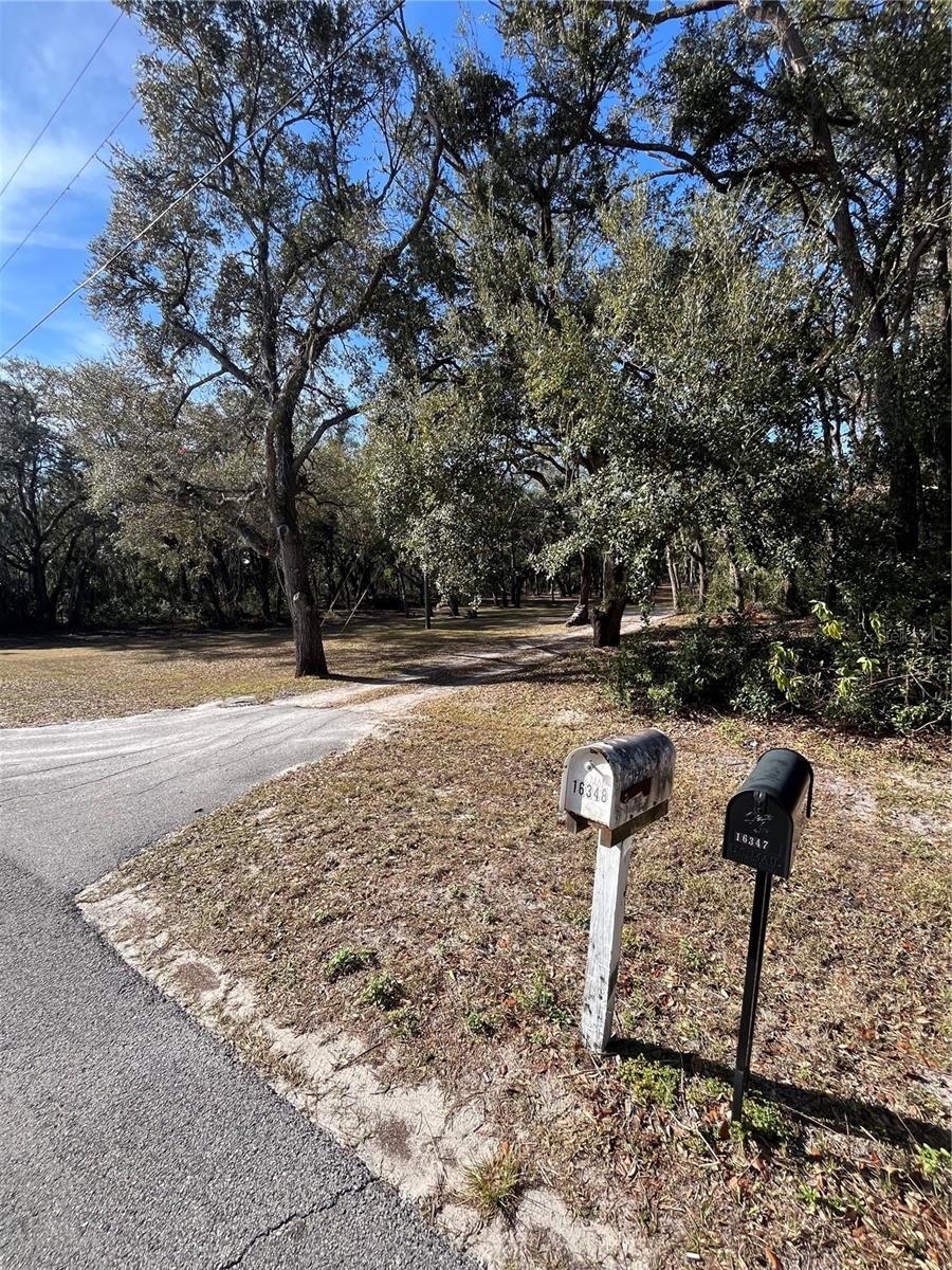 Image 10 of 11 For 16347 Albright Road