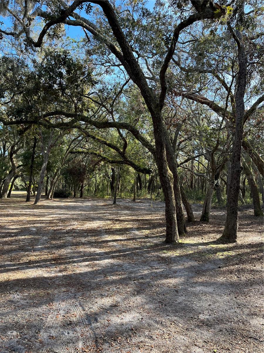 Image 9 of 11 For 16347 Albright Road