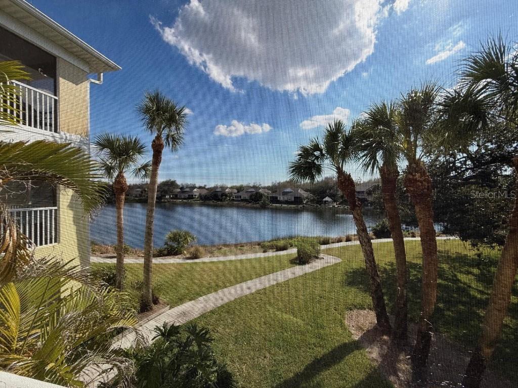 Image 45 of 48 For 19325 Water Oak Drive 205