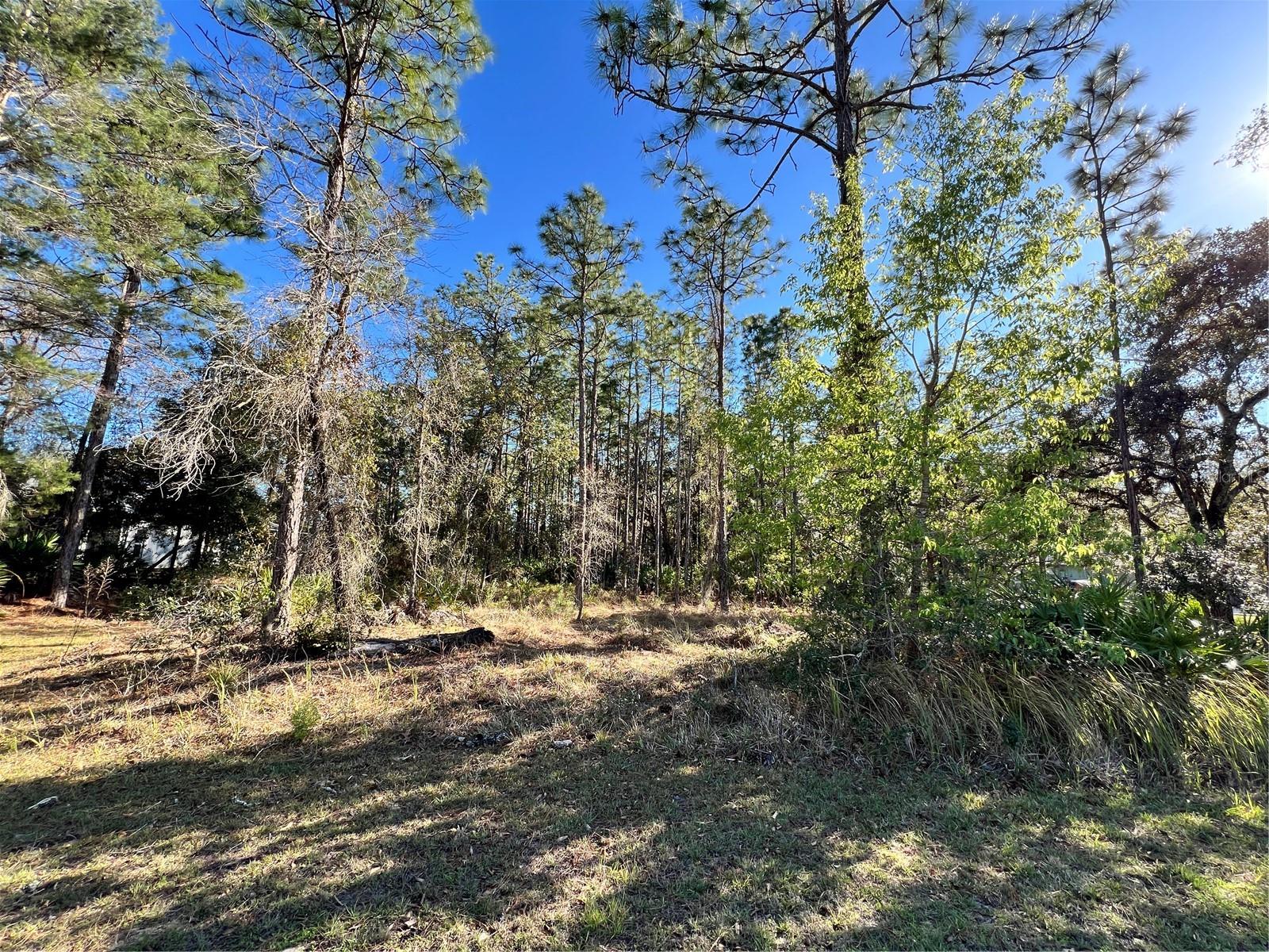 Image 8 of 8 For 11056 Flatwood Avenue