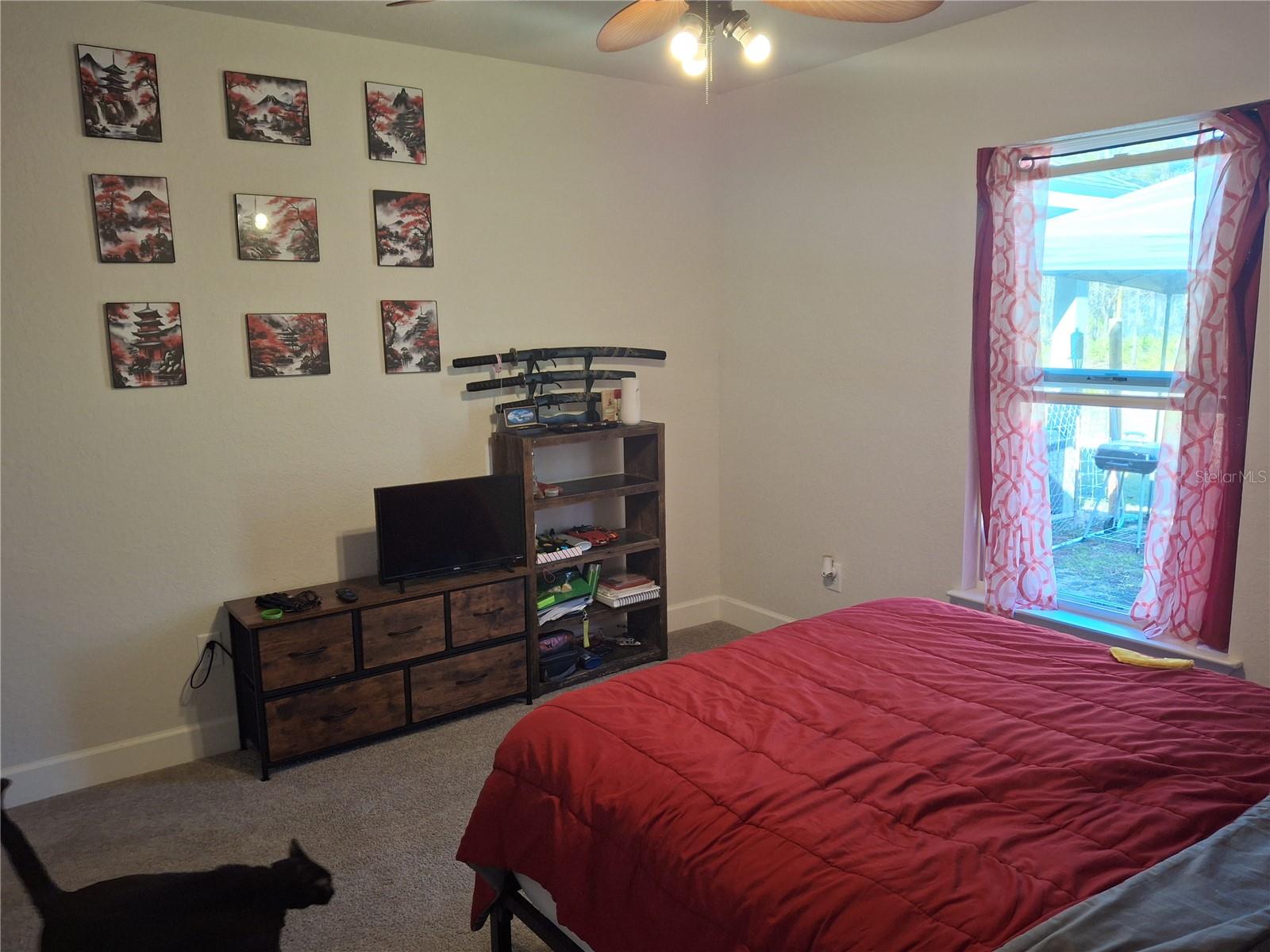 Image 11 of 23 For 18336 Macek Road