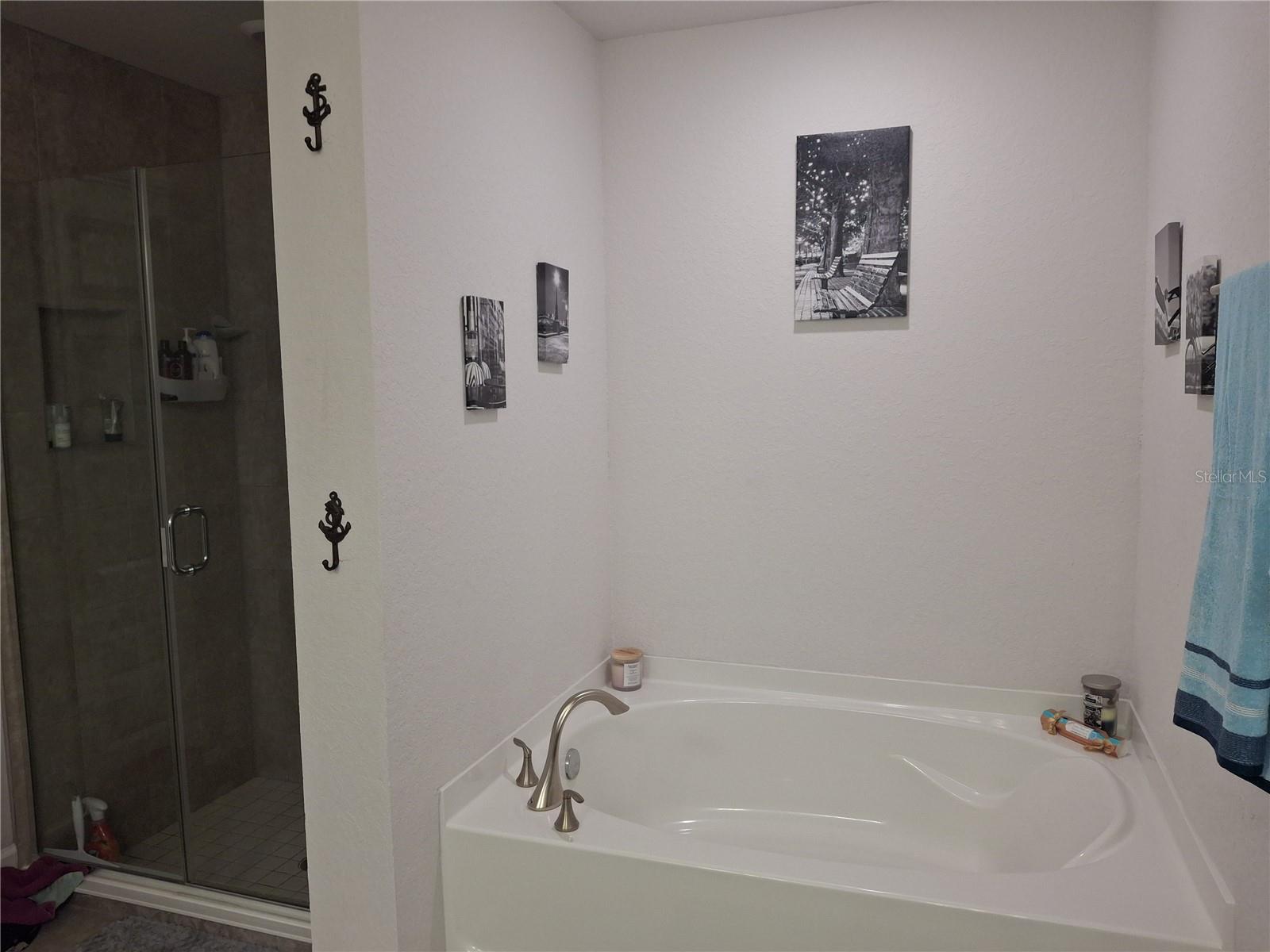 Image 20 of 23 For 18336 Macek Road