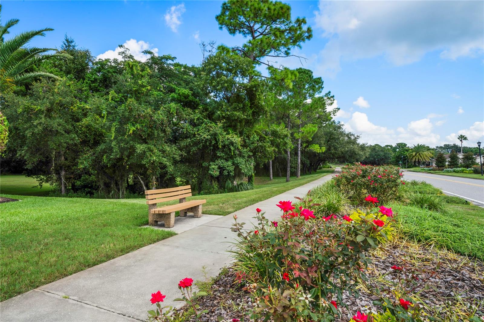 Listing photo id 65 for 303 Rochester Street