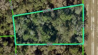 Details for 0 Curlew Road, BROOKSVILLE, FL 34614
