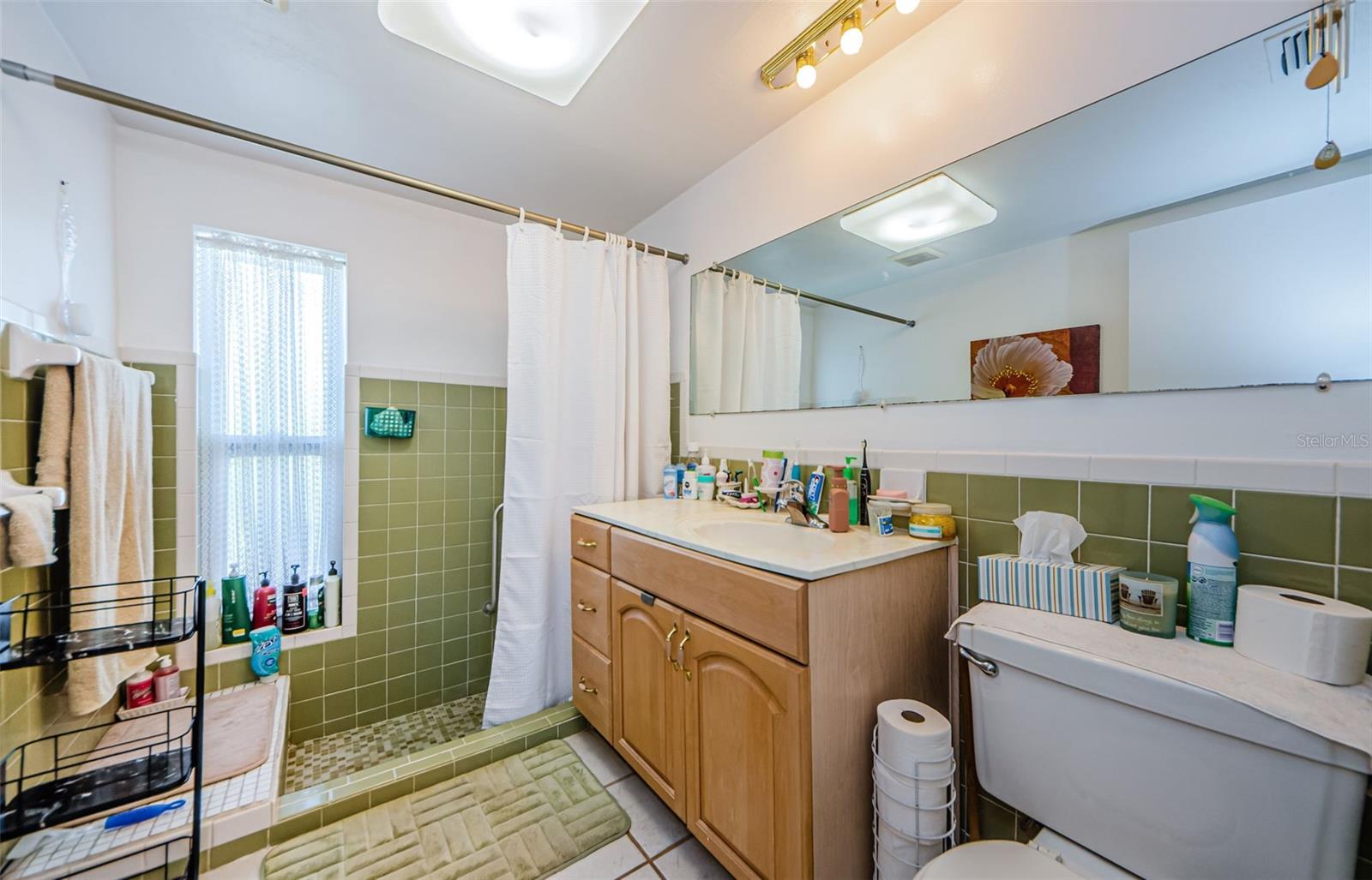 Listing photo id 37 for 4107 Glissade Drive