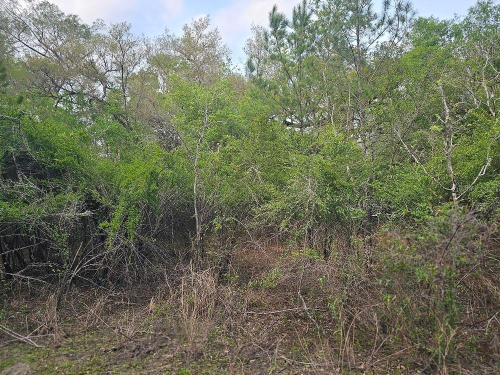 Image 8 of 11 For 0 Colonel Avenue