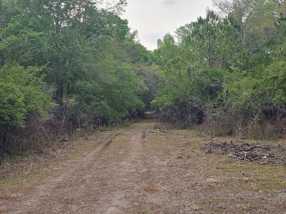 Image 9 of 11 For 0 Colonel Avenue