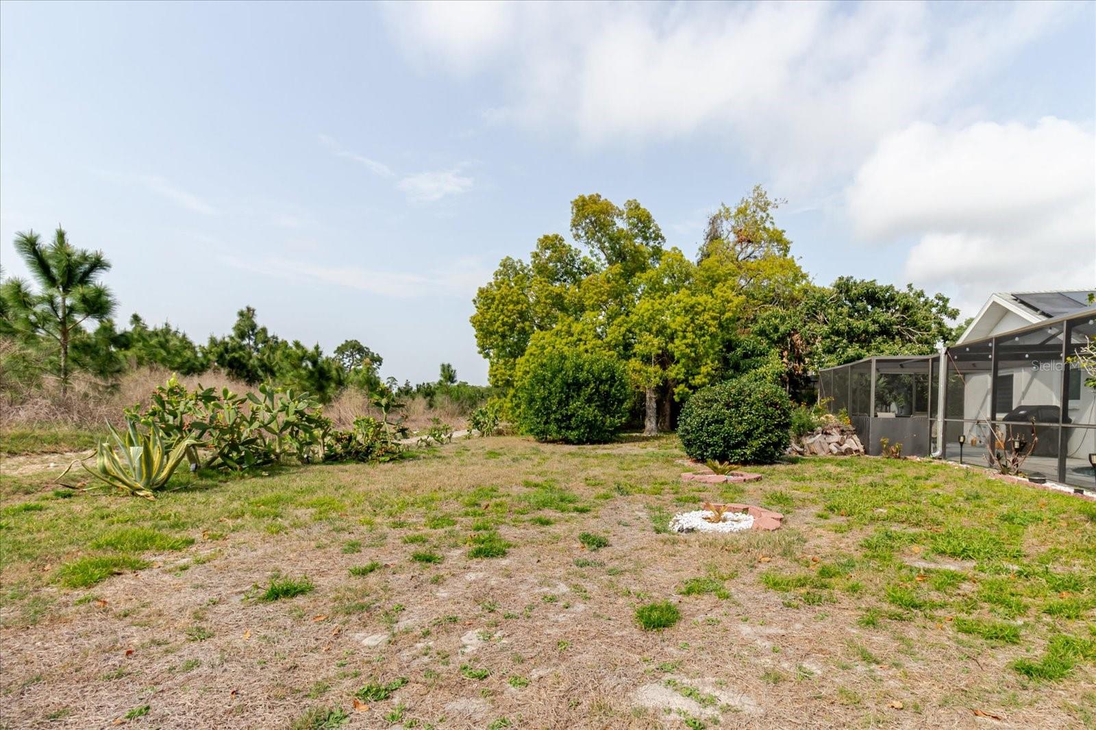 Image 77 of 97 For 9301 Tournament Drive