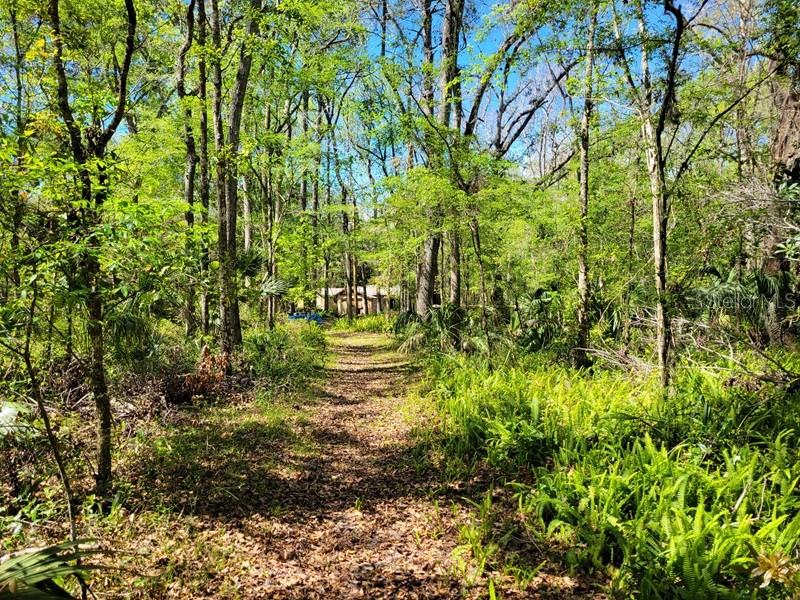 Image 34 of 36 For 18255 Lake Lindsey Road