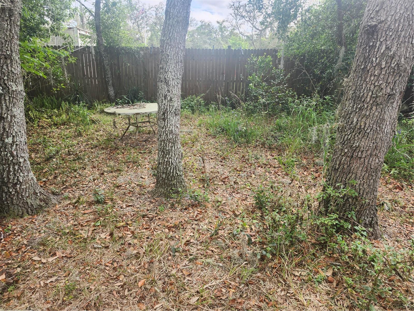 Listing photo id 48 for 13120 Davista Avenue