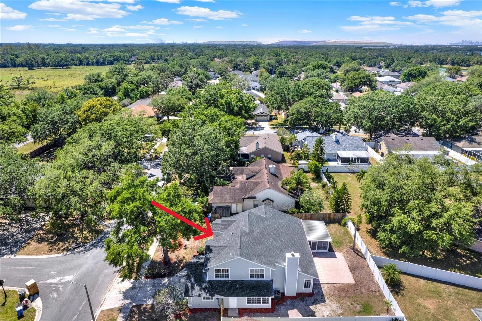 Image 46 of 50 For 10423 Ashley Oaks Drive