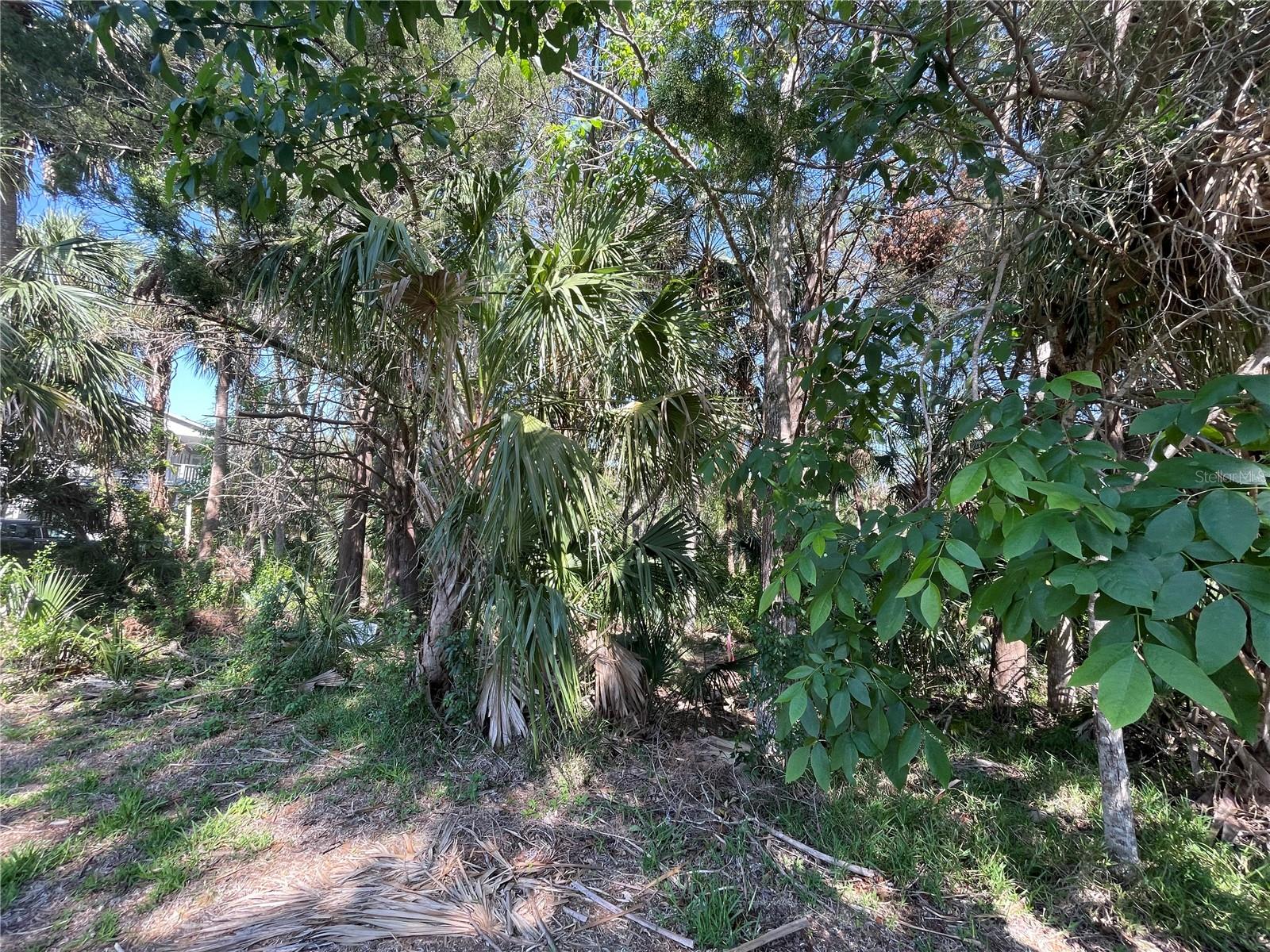 Listing photo id 16 for 0 River Point Drive