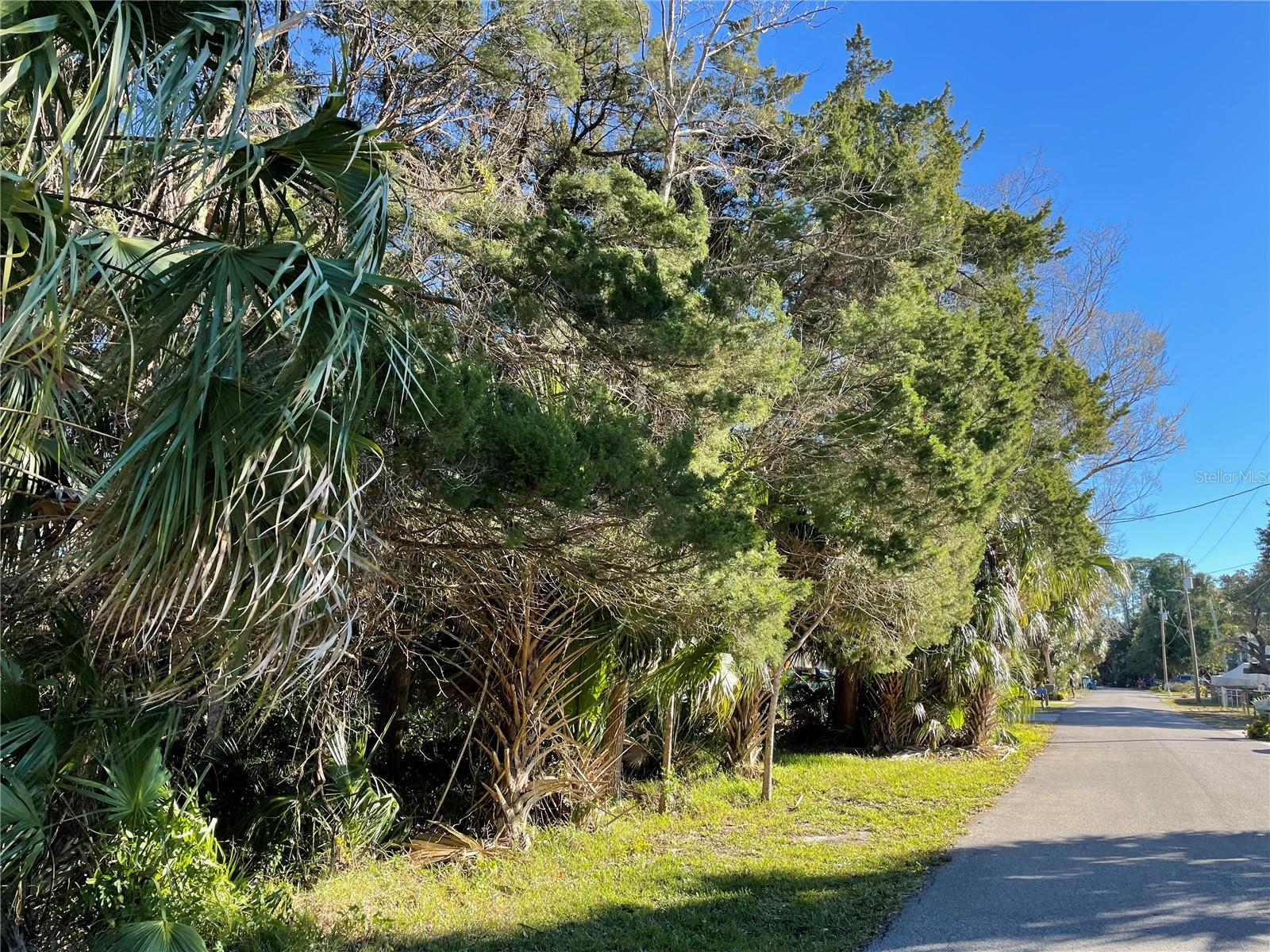 Listing photo id 17 for 0 River Point Drive