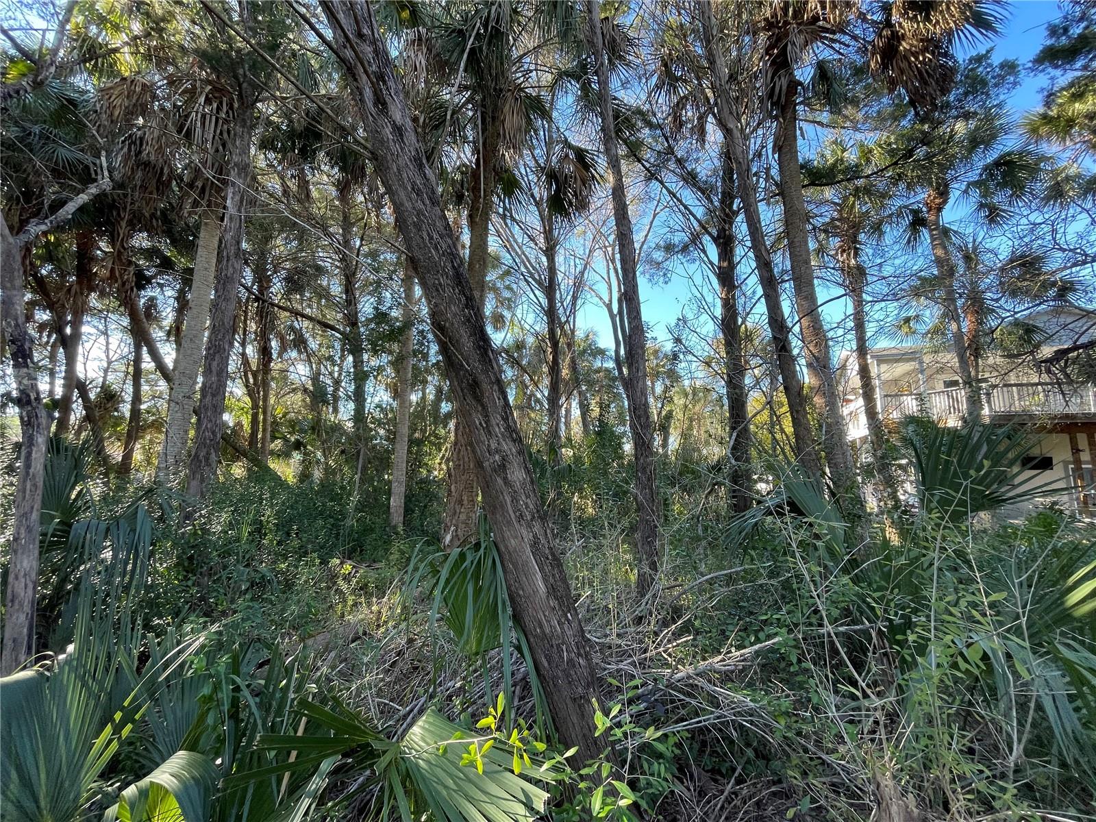 Listing photo id 18 for 0 River Point Drive