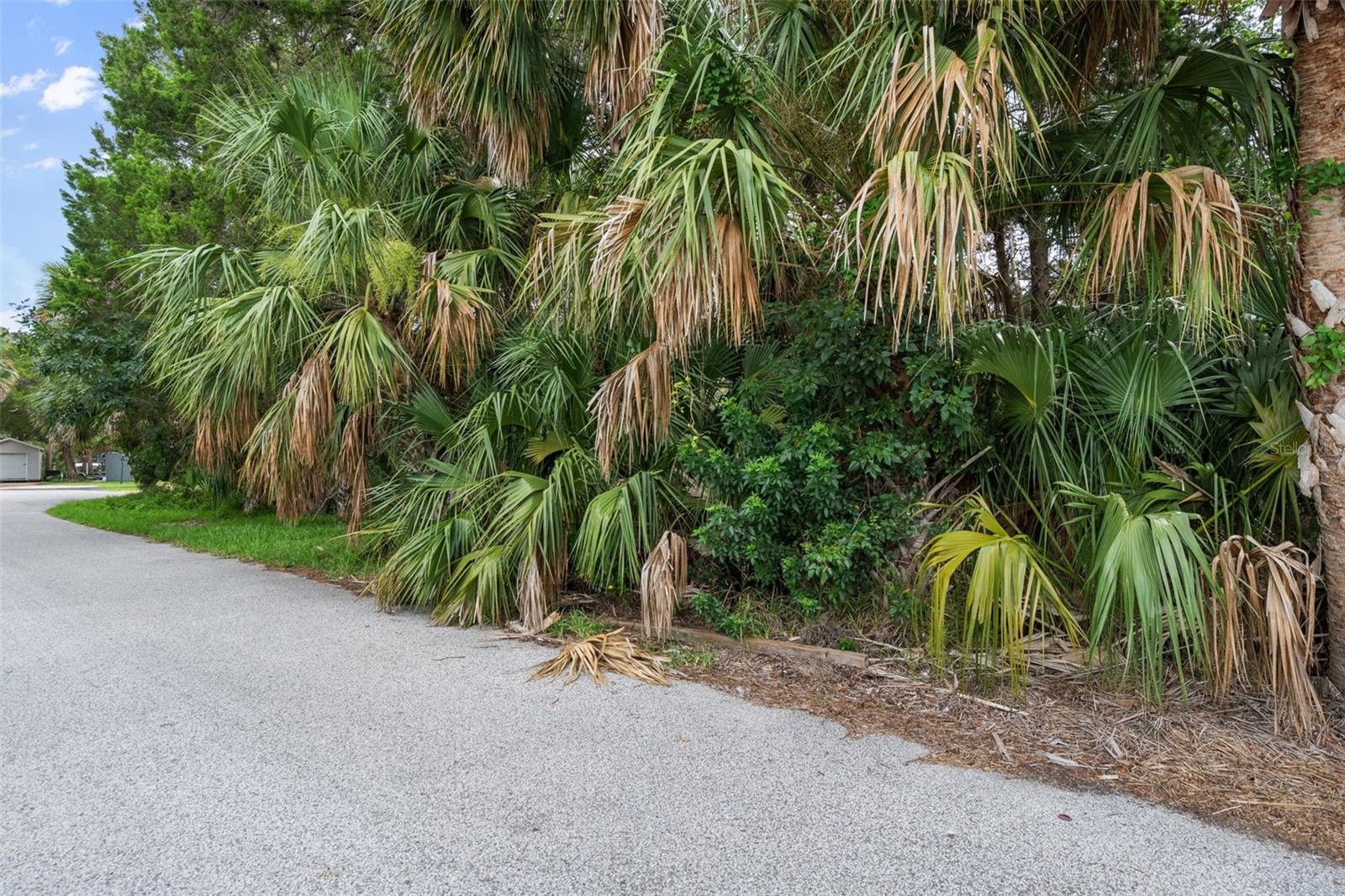 Listing photo id 27 for 0 River Point Drive