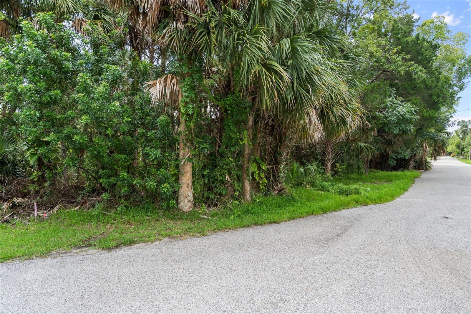 Listing photo id 28 for 0 River Point Drive