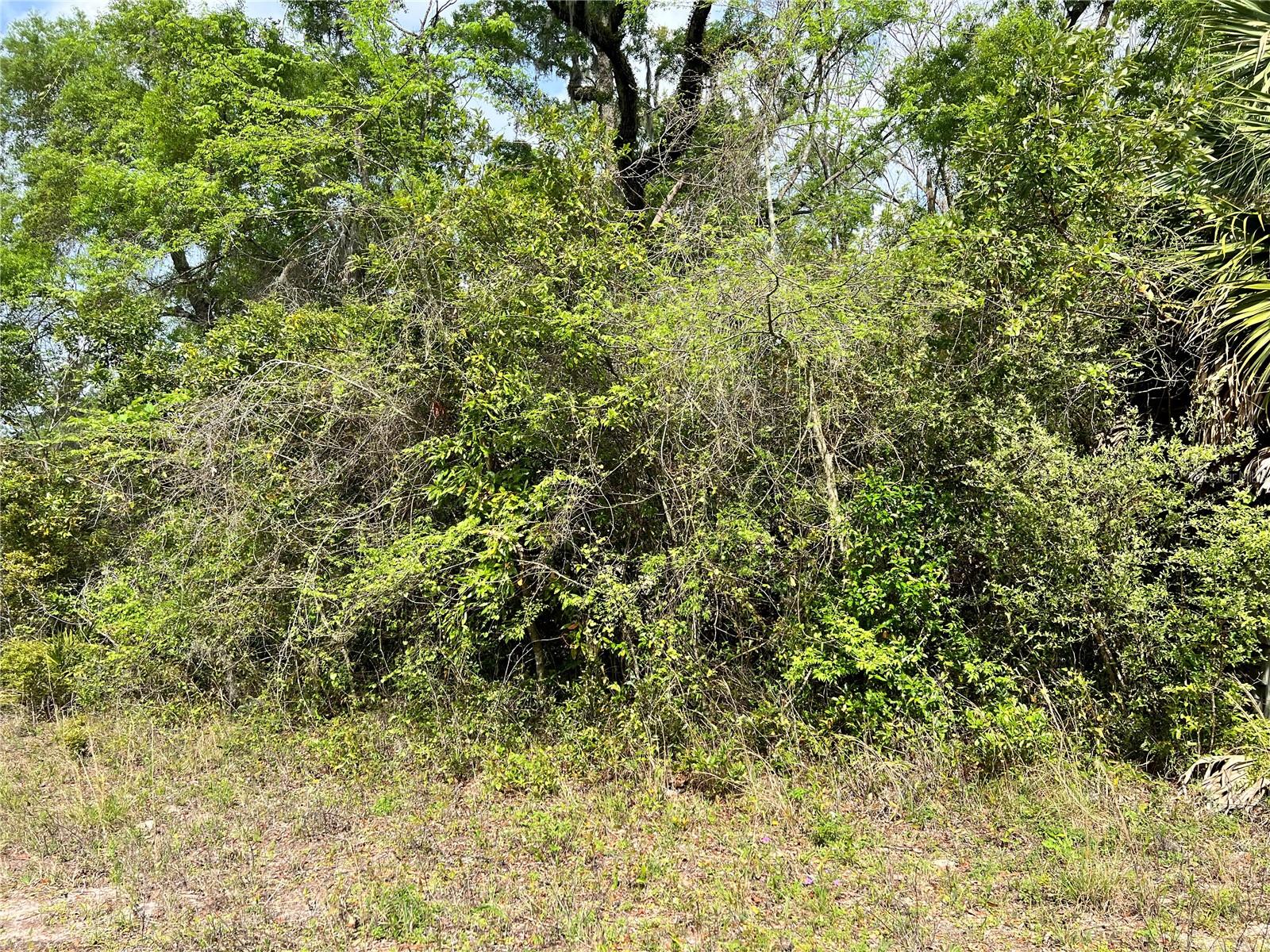 Image 3 of 9 For 0 349  