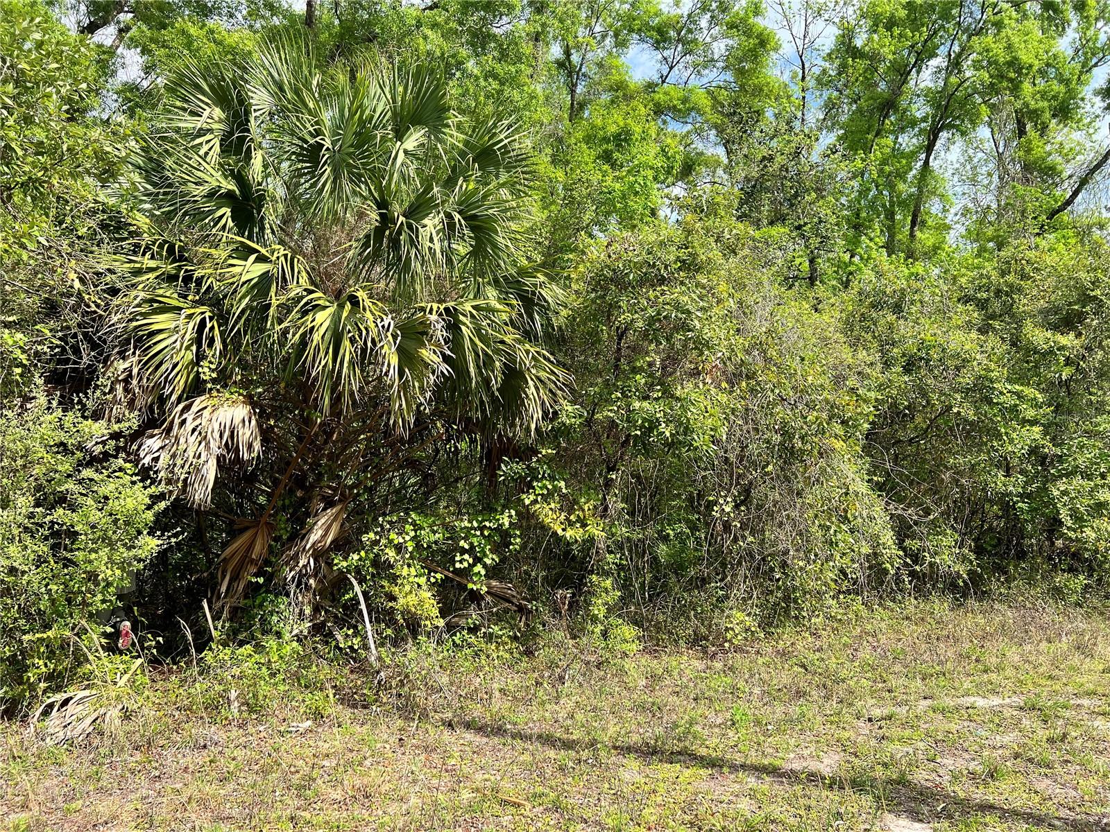 Image 7 of 9 For 0 349  