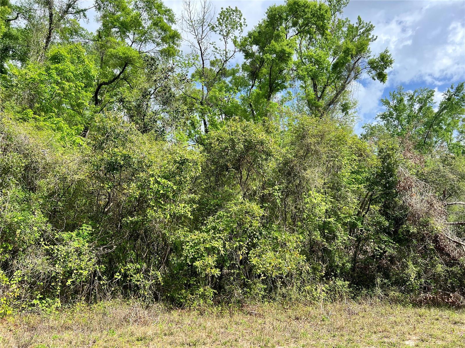 Image 9 of 9 For 0 349  