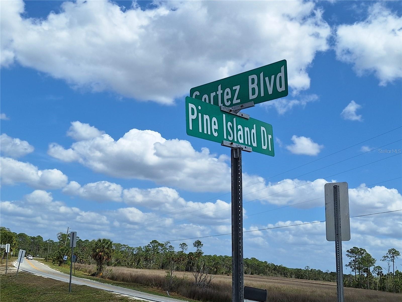 Image 82 of 87 For 3461 Gum Drive