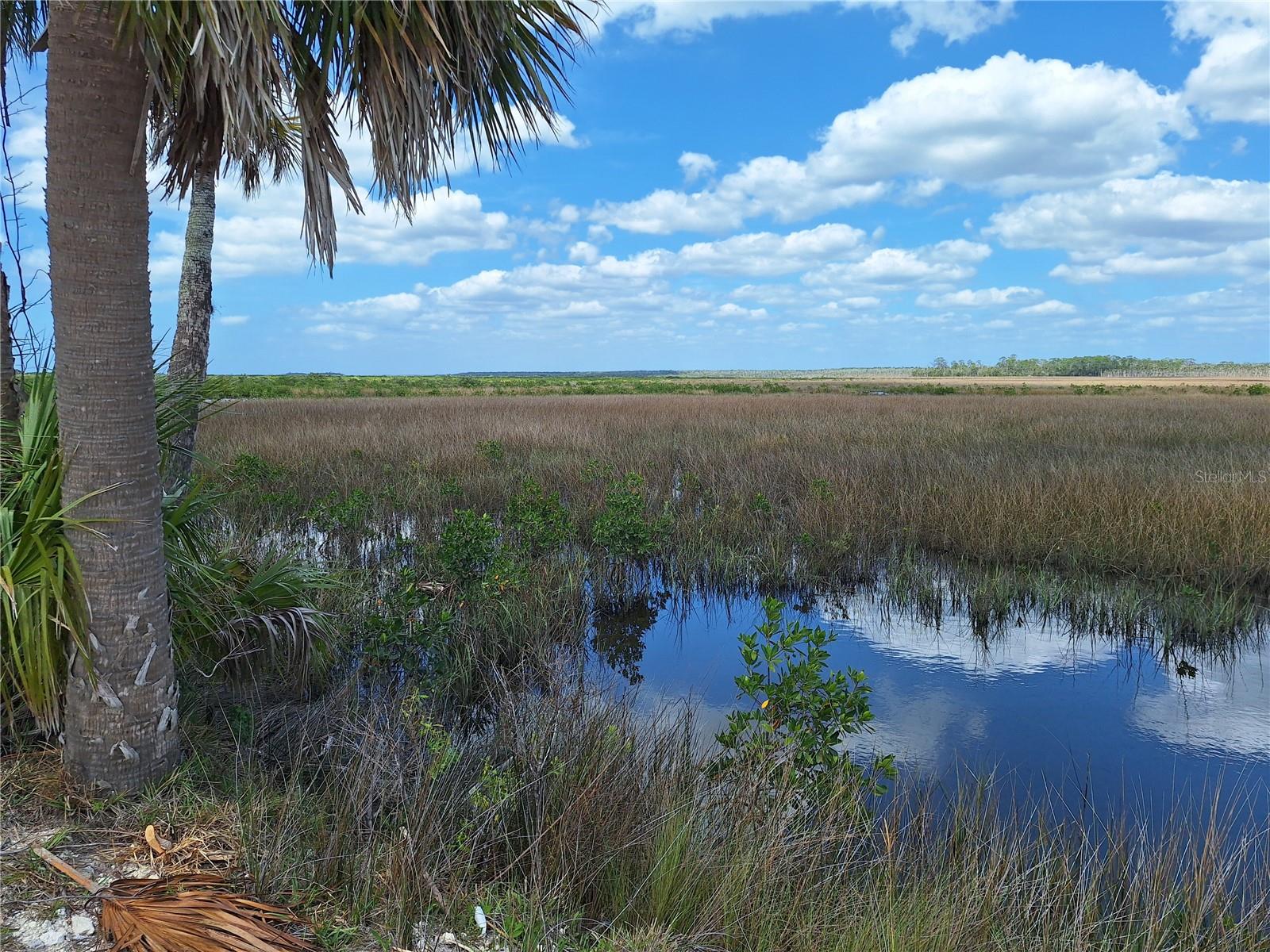 Image 84 of 87 For 3461 Gum Drive