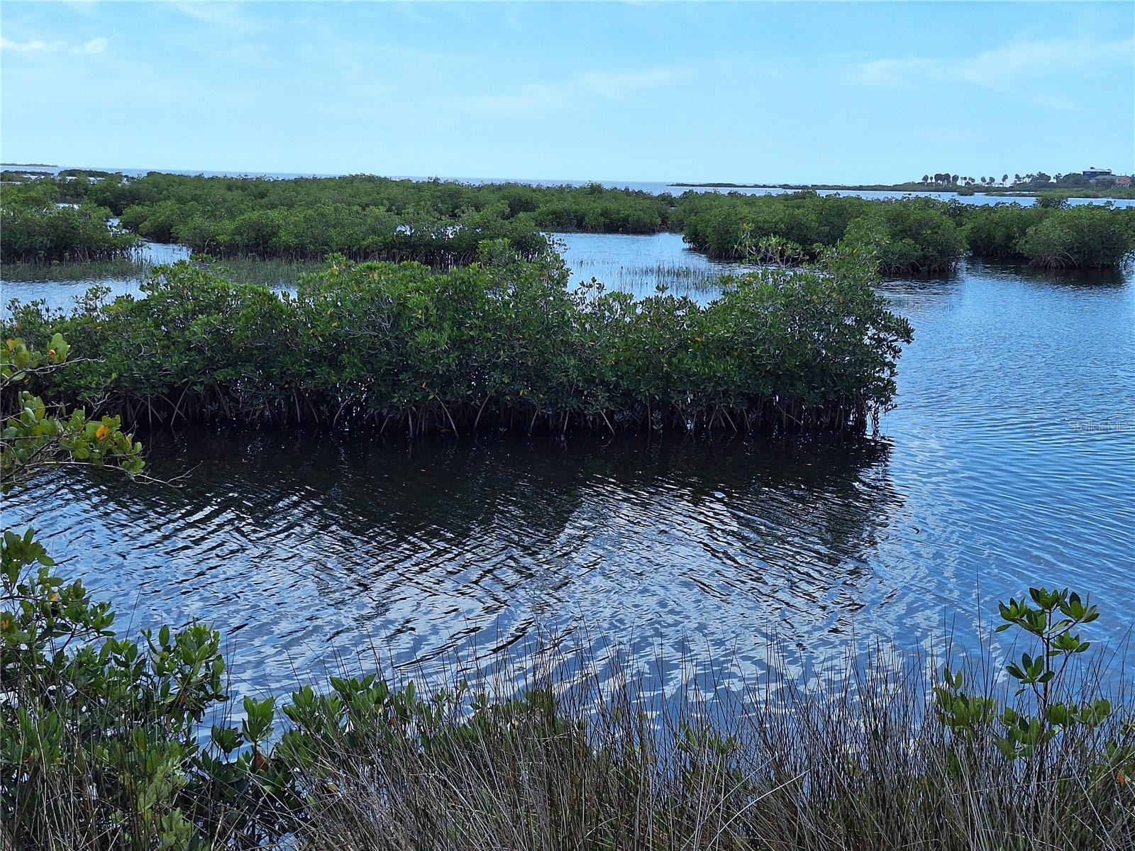 Image 85 of 87 For 3461 Gum Drive