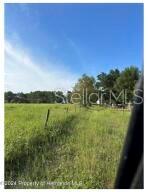 Image 4 of 7 For 22380 Powell Road