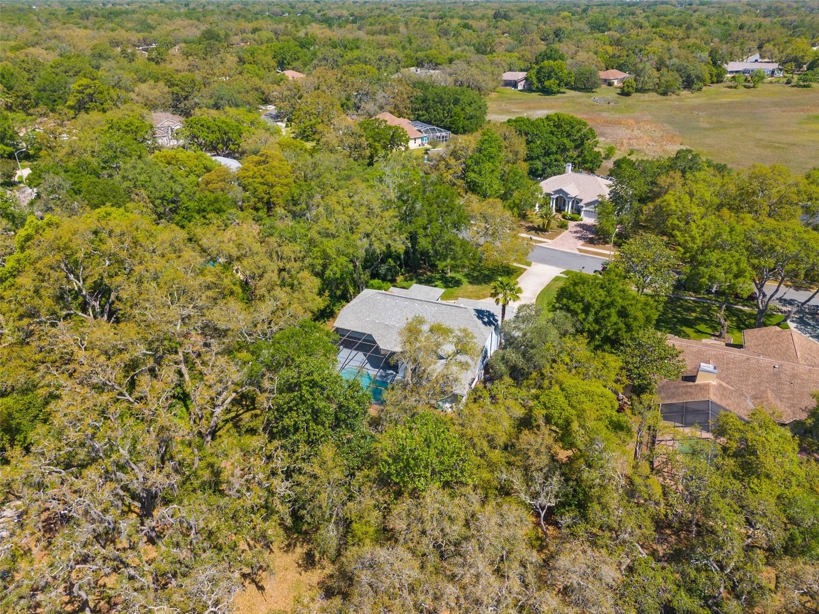 Image 42 of 55 For 18663 Autumn Lake Boulevard
