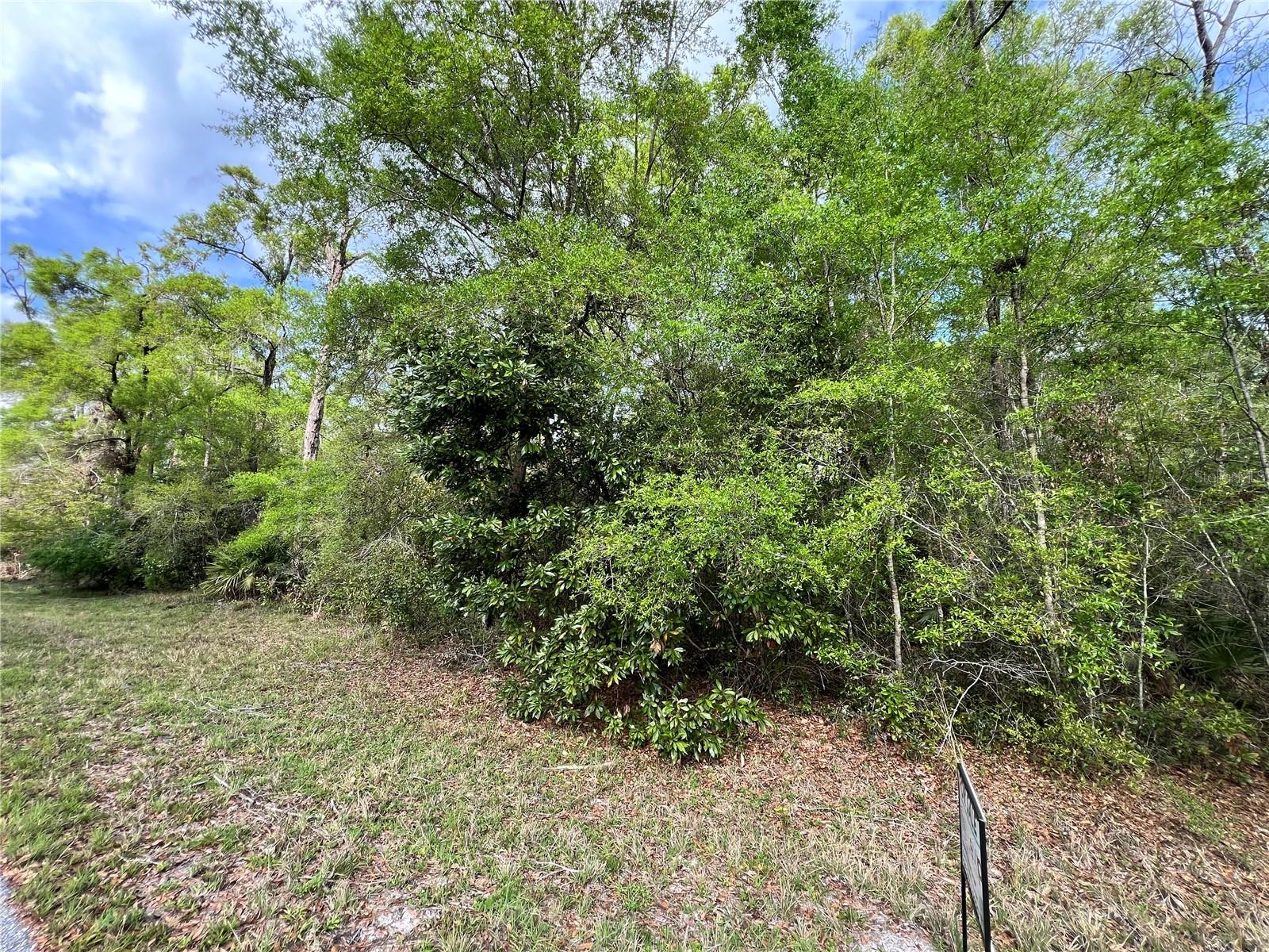 Details for 74th Court 111, CHIEFLAND, FL 32626